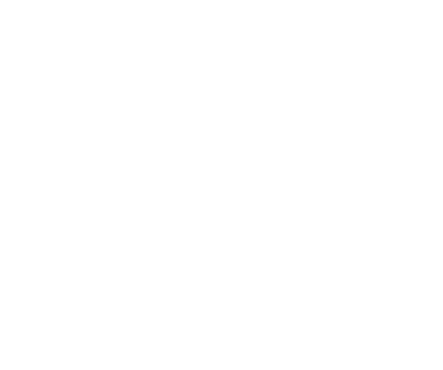 WHITE KNIGHT CAPITAL