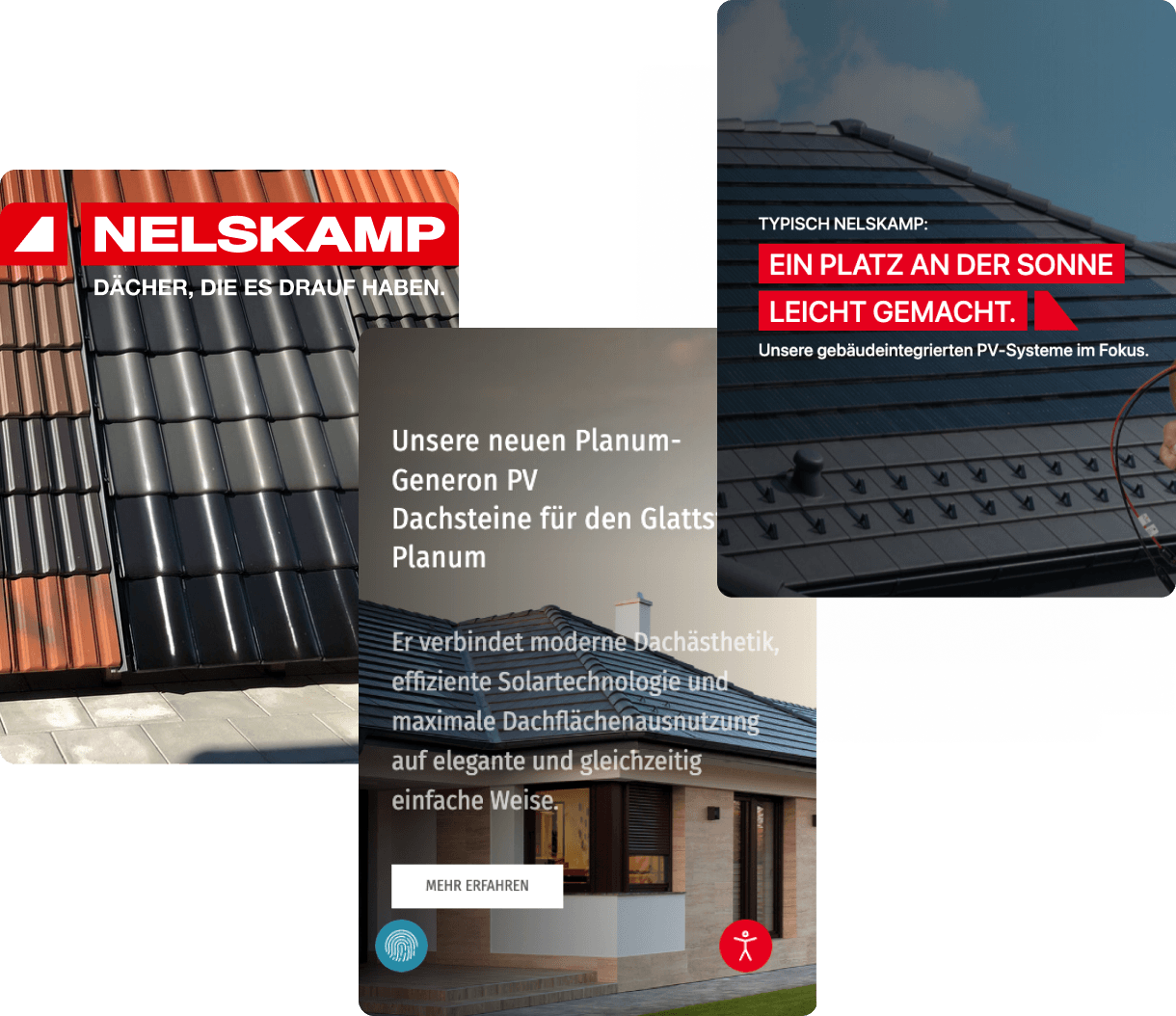 Nelskamp